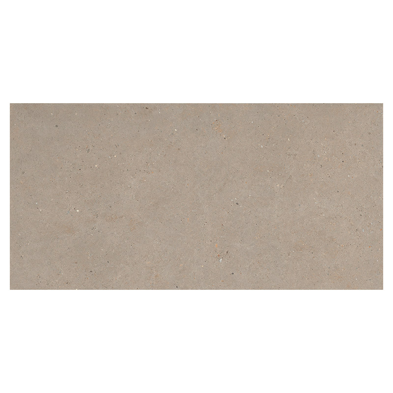 Italgraniti Silver Grain Taupe Antislip 60 x 120 cm Bodenfliese