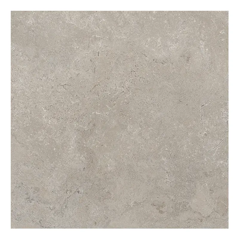 Steinoptik Fliese Cercom Stone Vision Ash R11 60 x 60 cm