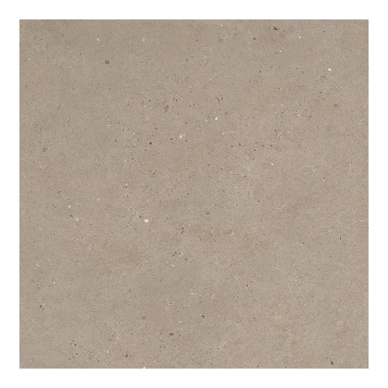 Italgraniti Silver Grain Taupe 60 x 60 cm Bodenfliese