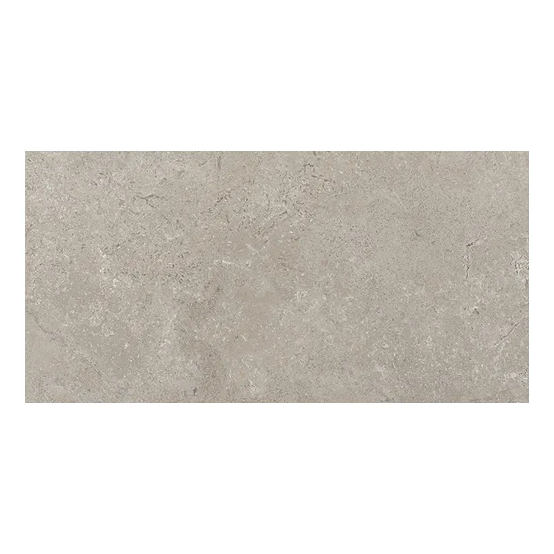 Steinoptik Fliese Cercom Stone Vision Ash R11 30 x 60 cm