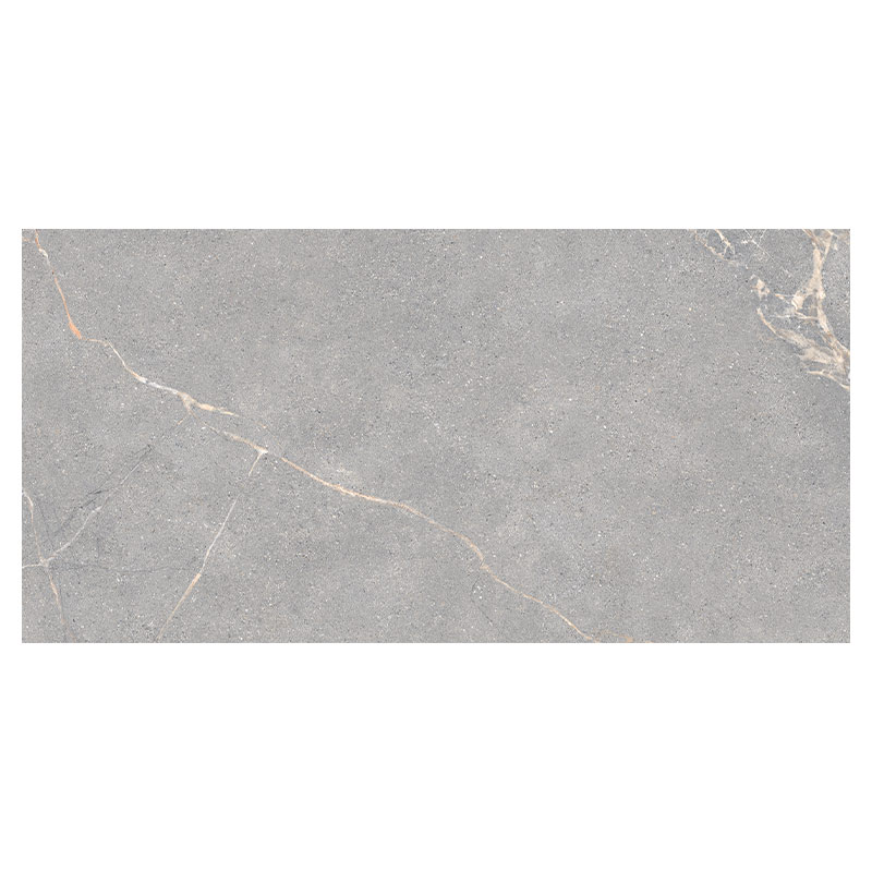 Lea Ceramiche Anthology 04 Gray 60 x 120 cm Worn